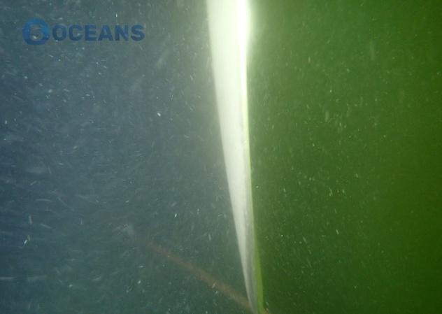 Leading edge of a propeller blade underwater after edge repair
